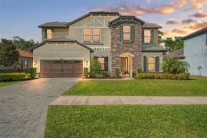 16532 Ballyshannon Dr, TAMPA