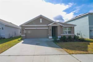 11517 Koti Creek Ln, THONOTOSASSA