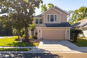 5167 Sterling Manor Dr, TAMPA