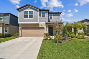 22287 Storybook Cabin Way, LAND O LAKES