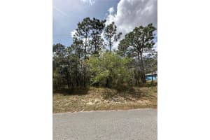 2 Fringetree Ct, HOMOSASSA