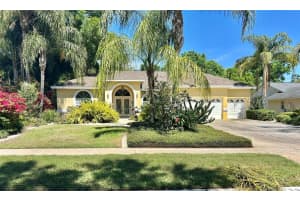 3916 Appletree Dr, VALRICO