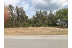 Pinetree Dr, LAKE WALES