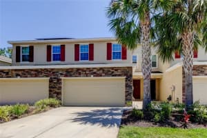 13217 Canopy Creek Dr, TAMPA 13217 Canopy Creek Dr, TAMPA