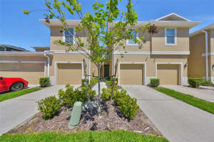 2138 Broadway View Ave, BRANDON