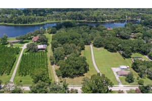 18302 Hanna Rd, LUTZ