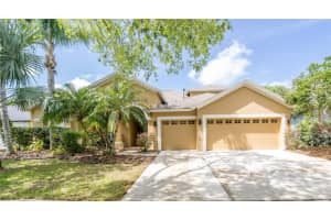 8376 Golden Prairie Dr, TAMPA