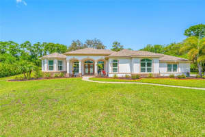 490 Silver Moss Ln, TARPON SPRINGS