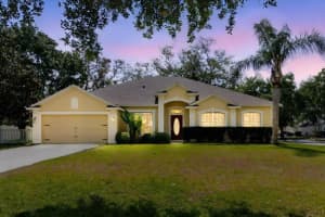 12506 Safari Ln, RIVERVIEW