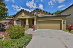 838 Vino Verde Cir, BRANDON