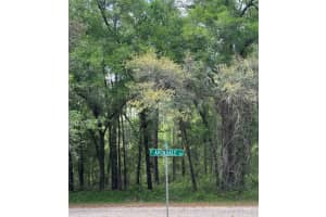 455 E Avondale Dr, DUNNELLON
