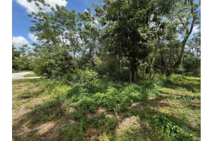 7541 Gordon Loop, BROOKSVILLE