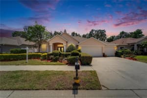 2515 Centennial Falcon Dr, VALRICO