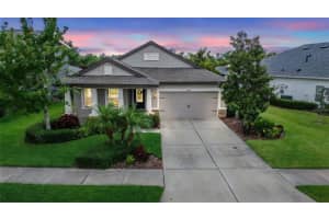 6642 Current Dr, APOLLO BEACH