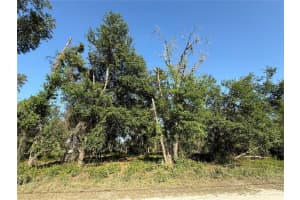 Null Owens Dr, ZEPHYRHILLS