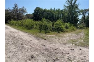 Elza St, NEW PORT RICHEY