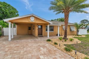 4815 Plantation Dr, TAMPA