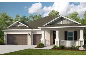 3407 Lumber Falls Dr, PLANT CITY 3407 Lumber Falls Dr, PLANT CITY