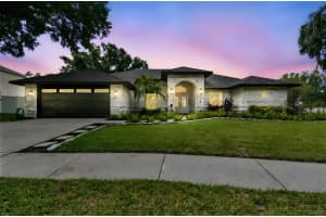1727 Woodpond Way, LUTZ
