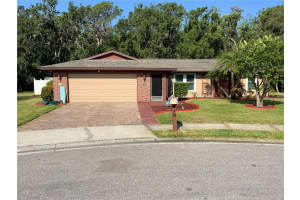 819 Satinleaf Ave, OLDSMAR 819 Satinleaf Ave, OLDSMAR