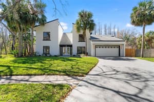 4520 Pine Hollow Dr, TAMPA