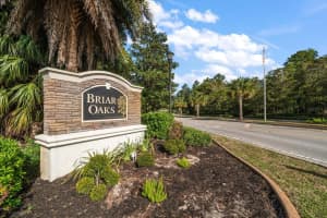 18314 Waydale Loop, HUDSON