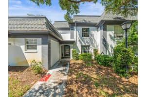 1303 N Mcmullen Booth Rd #1303, CLEARWATER