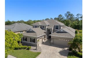27318 Sora Blvd, WESLEY CHAPEL