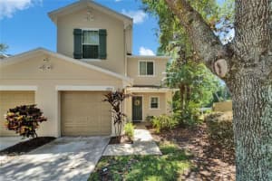 2915 Royal Tuscan Ln, VALRICO