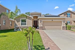 10514 Scenic Hollow Dr, RIVERVIEW