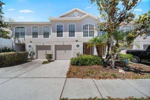 9942 Ashburn Lake Dr, TAMPA
