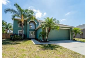 31704 Shin Ct, WESLEY CHAPEL