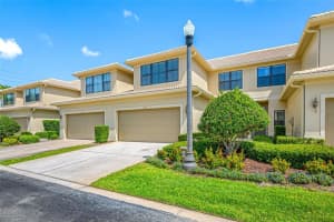 2527 Silverback Ct, PALM HARBOR