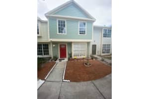 13909 Fletchers Mill Dr, TAMPA