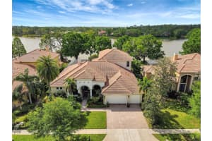 9630 Tree Tops Lake Rd, TAMPA
