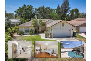 1916 Sandstone Pl, CLEARWATER 1916 Sandstone Pl, CLEARWATER