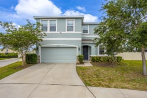 16633 Goose Ribbon Pl, WIMAUMA