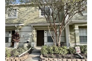 8532 Brushleaf Way, TAMPA