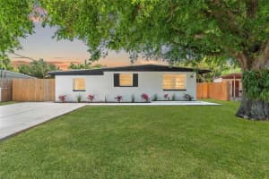 4008 W Olive St, TAMPA