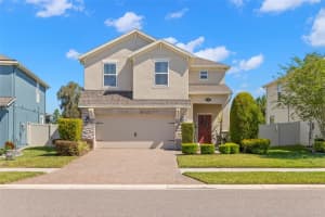 19487 Roseate Dr, LUTZ