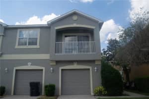 8848 Moonlit Meadows Loop, RIVERVIEW