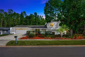 4012 Woodacre Ln, TAMPA