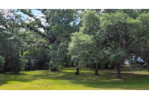 17912 Greensboro St, SPRING HILL