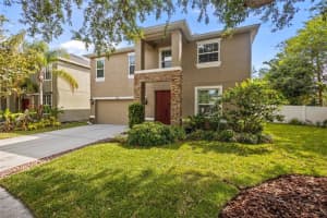19101 Marisa Ridge Pl, TAMPA