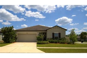 19047 Alfaro Loop, SPRING HILL