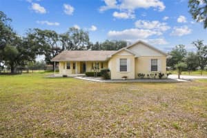 1202 Williams Rd, PLANT CITY