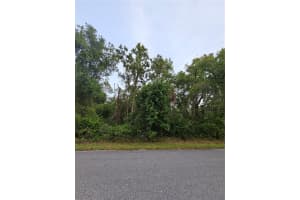 00 Gurnee Ave, NEW PORT RICHEY