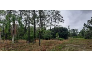 823 Pandora Dr, INDIAN LAKE ESTATES