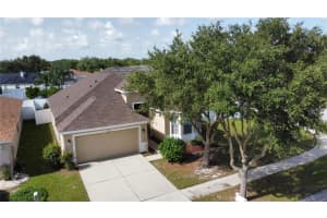 11021 Silver Dancer Dr, RIVERVIEW