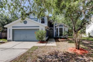 8110 Pond Shadow Ln, TAMPA